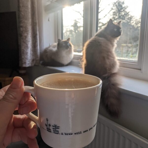 Holding a cup of coffee with two ragdoll cats in the background sitting on the window sill